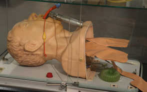 Museum Item Image